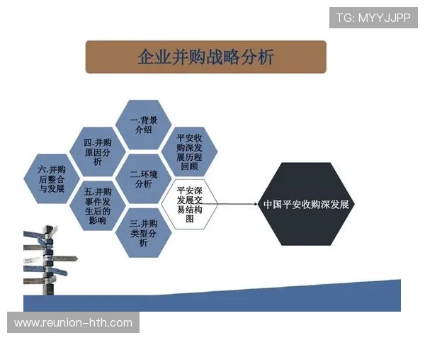 海登海姆足球俱乐部的发展历程与未来战略分析 海登海姆足球俱乐部的发展历程与未来战略分析